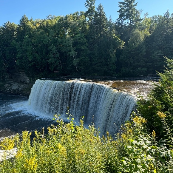 Meet your Posher, Erika - Picture 1 of 2